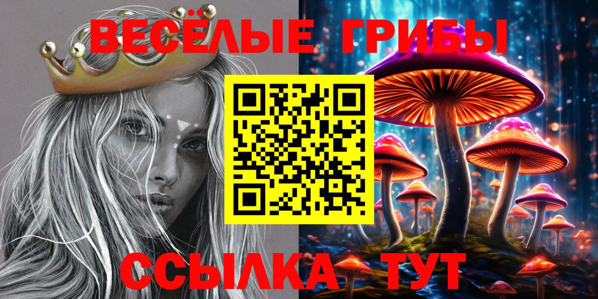 Тобольск  Псилоцибиновые грибы MAGIC MUSHROOMS  Вход с VPN 